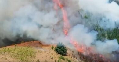 Ante nuevos focos de Incendios en Puerto Montt y San Pablo llaman a reforzar medidas preventivas