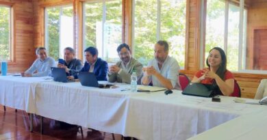 Cores y Alcaldes de Osorno aúnan esfuerzos para destrabar y acelerar proyectos FRIL en sesión clave en Puerto Octay