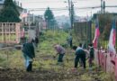 Investigador ULagos revela el retorno de la lucha de pobladores por una vivienda en Osorno