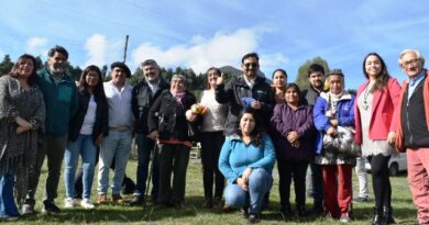 Trabajo en equipo entre autoridades regionales y locales permitieron que el Sector de Santa Elvira (Puyehue) logre la pavimentación de más de 12 kilómetros
