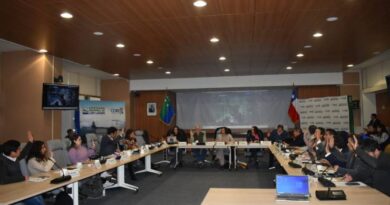 Consejo Regional de Los Lagos aprobó asignación directa para el básquetbol femenino del sur de Chile