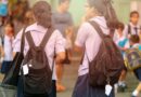 Ley de Inclusión Escolar: potencialidades y debilidades