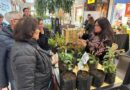 Feria “Mercado Emprende” en Mall Portal Osorno para potenciar emprendimiento local