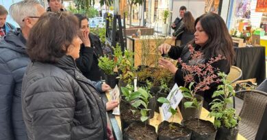 Feria “Mercado Emprende” en Mall Portal Osorno para potenciar emprendimiento local