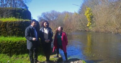 Comisión de Medio Ambiente del CORE Los Lagos invita a jornada clave sobre el Río Rahue en Osorno