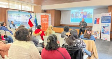 Desarrollan encuentro regional de la Red Local de Apoyos y Cuidados Chile Cuida