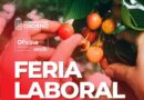 Feria laboral agrícola ofrecerá 1.500 cupos de trabajo este viernes 25 de noviembre