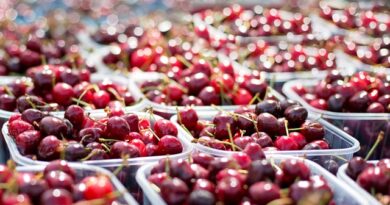 El fenómeno de la cereza chilena en China: un mercado en auge