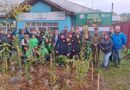Escuela Deportiva de Osorno habilita primer bosque de bolsillo “Miyawaki” de la región de Los Lagos.