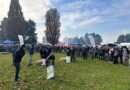 Celebran el “Día Mundial de la Leche” destacando el rol de los productores y la identidad rural del sur de Chile