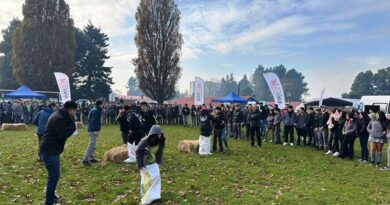 Celebran el “Día Mundial de la Leche” destacando el rol de los productores y la identidad rural del sur de Chile