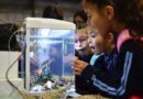 Más de 700 estudiantes de la Región de Los Lagos exploraron el mundo marino en la 6ta Feria del Mar UACh 2025