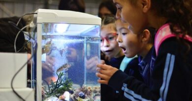 Más de 700 estudiantes de la Región de Los Lagos exploraron el mundo marino en la 6ta Feria del Mar UACh 2025
