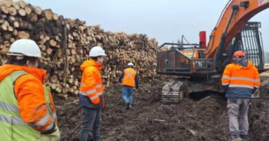 Dirección del Trabajo fiscalizará a empresas forestales para mejorar condiciones de seguridad de sus trabajadores