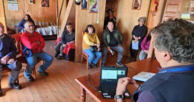 Municipalidad de San Juan de la Costa promueve iniciativa para proteger el ganado ovino con perros mestizos criados con ovejas