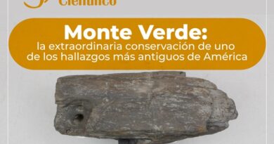 Colección de Monte Verde: Café Científico presentará claves sobre la conservación de uno de los hallazgos más antiguos de América