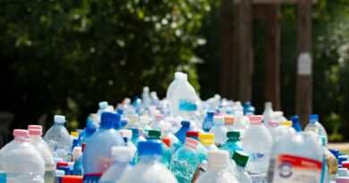Reciclaje y cambio climático: el aporte de la ciencia y la educación para un futuro sostenible
