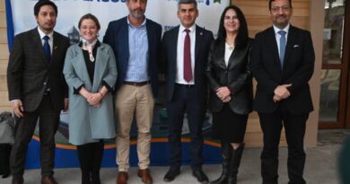 Comisión Transitoria de Seguridad del CORE presenta diagnóstico regional y Plan  2025–2029
