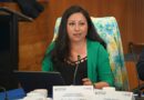 Consejera Yasna Vásquez exige al Gobierno central actuar con urgencia tras tornado en Puerto Varas