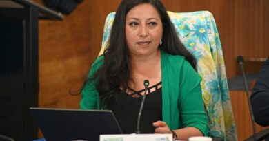 Consejera Yasna Vásquez exige al Gobierno central actuar con urgencia tras tornado en Puerto Varas