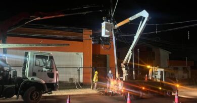 Saesa reporta 47 postes chocados en el primer semestre de 2025 en las provincias de Osorno y del Ranco