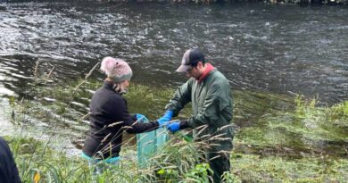 Zoetis realiza jornada de limpieza y reciclaje en Parque Chuyaca de Osorno