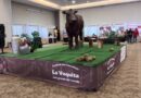 Este viernes comenzó el Festival con la Vaca de Chocolate más grande del mundo