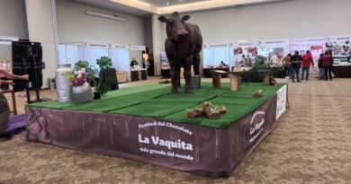 Este viernes comenzó el Festival con la Vaca de Chocolate más grande del mundo
