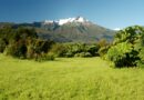 Consejeros regionales solicitan habilitación definitiva de accesos a Parques Nacionales en la provincia de Palena
