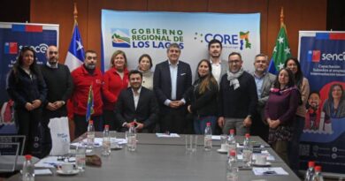 Más de $393 millones se invertirá Consejo Regional de Capacitación de Sence en Los Lagos