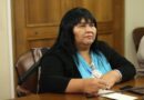 Diputada Nuyado insta a la justicia a aplicar máxima celeridad en caso de explotación sexual infantil en Puerto Varas