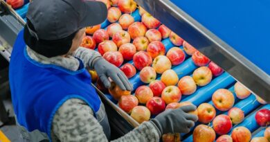 Copefrut celebra 70 años con foco en sostenibilidad: presenta su tercer Reporte bajo estándar GRI