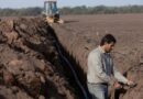 Rivulis lanza recurso educativo para ayudar a los agricultores a elegir el sistema de riego adecuado para cultivos en hileras