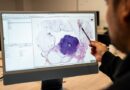 Región de O’Higgins da un salto hacia la medicina de precisión con supercomputación aplicada a la salud pública