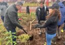 Escuela Deportiva avanza en reforestación urbana con segunda etapa de su “Bosque de Bolsillo”