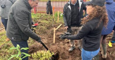 Escuela Deportiva avanza en reforestación urbana con segunda etapa de su “Bosque de Bolsillo”