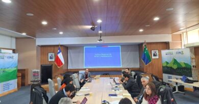 Proponen a la Comisión Social del CORE la creación de una Política Regional de Niñez y Adolescencia