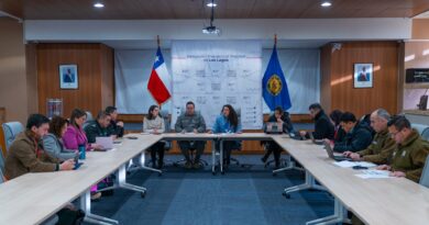 Primarias Presidenciales: destacan elecciones seguras y sin incidentes en la Región de Los Lagos