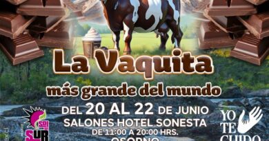 Osorno celebrará la tercera versión del festival de la “Vaquita de chocolate más grande del mundo”