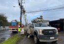 Saesa refuerza trabajos de mantenimiento en Osorno para mejorar la calidad del suministro eléctrico