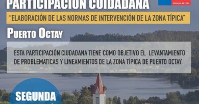 Puerto Octay Continúa su Avance Patrimonial con Segunda Jornada Participativa del año para su Zona Típica.