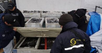 En canal Dalcahue sorprenden a embarcación con 10 toneladas de reineta que habría sido extraída ilegalmente