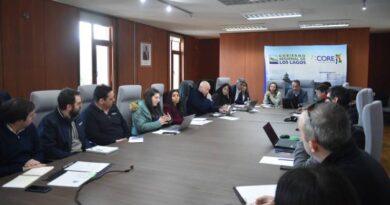 Comisión de Infraestructura del CORE citó a empresa constructora por graves fallas en departamentos de Puerto Montt