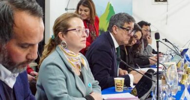 CORE Los Lagos aprobó adjudicación del Fondo de Medios 2025