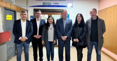 Presentan proyecto de habilitación de pabellón quirúrgico para el Hospital de Frutillar ante la Comisión de Salud del CORE