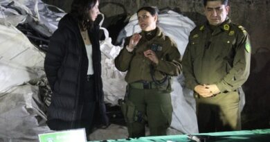 Puerto Montt: Carabineros realiza importante decomiso de cobre proveniente del robo de líneas eléctricas
