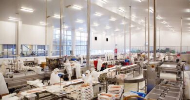 Salmón, mejillones, jurel y cerezas lideran alza de exportaciones de Los Lagos: envíos regionales crecen 5,2% en el primer semestre