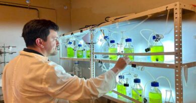 Con Inteligencia Artificial mejoran bioprocesos de microalgas con aplicación en la industria