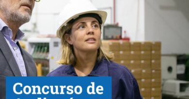 Invitan a medianas empresas de la región de Los Lagos a postular al Concurso de Auditorías Energéticas