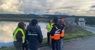 ONG de Chiloé y servicios públicos se unen para proteger al huillín en la isla